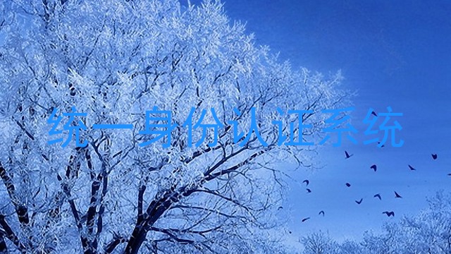 统一身份认证系统