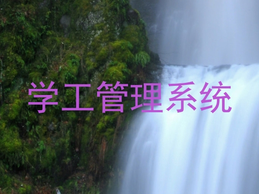 学工管理系统