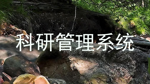 科研管理系统