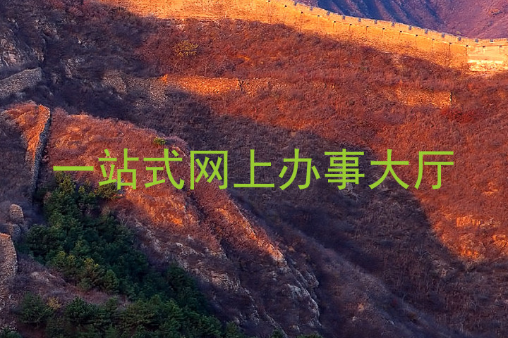 一站式网上办事大厅