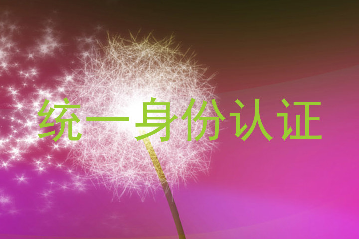 统一身份认证