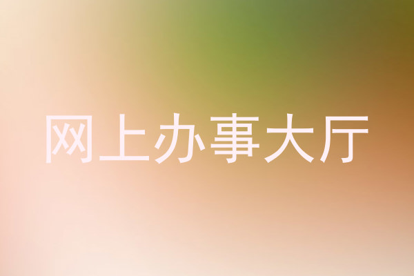 网上办事大厅