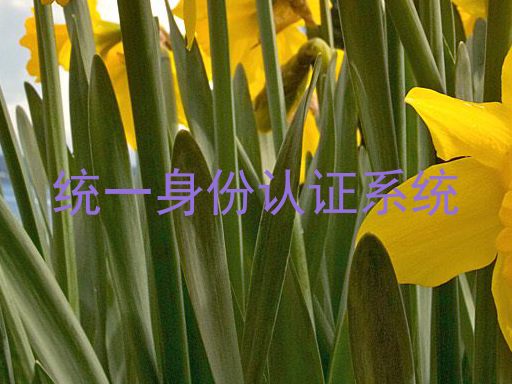 统一身份认证系统