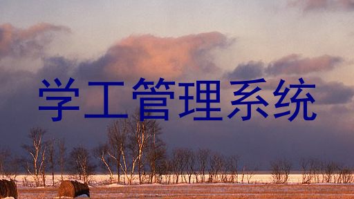 学工管理系统