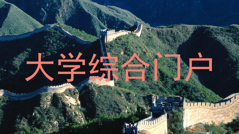 大学综合门户