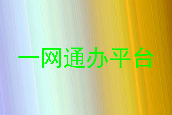 一网通办平台