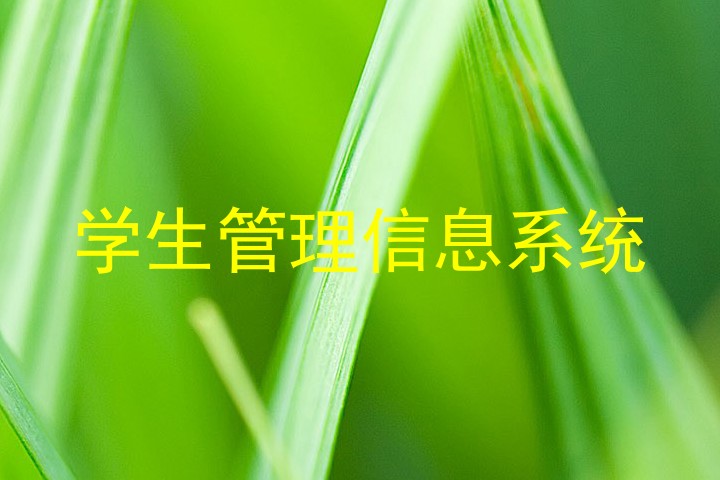 学生管理信息系统