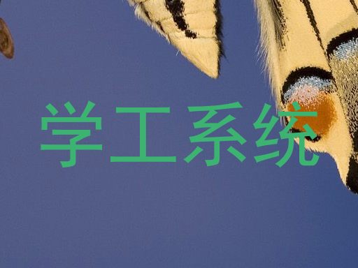 学工系统