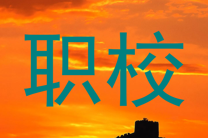 职校