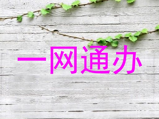 一网通办