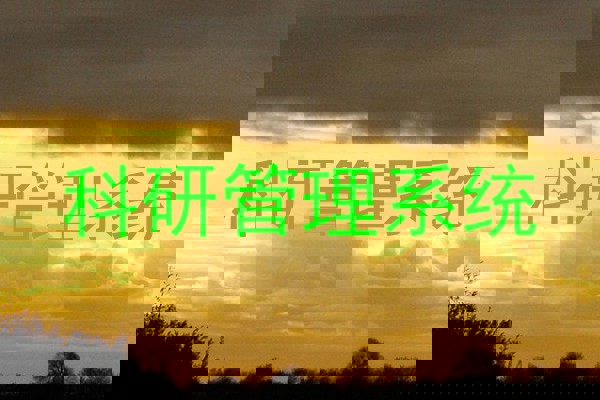 科研管理系统