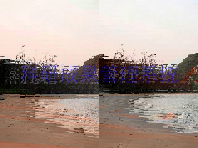 科研成果管理系统