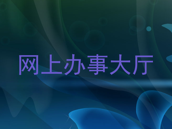 网上办事大厅