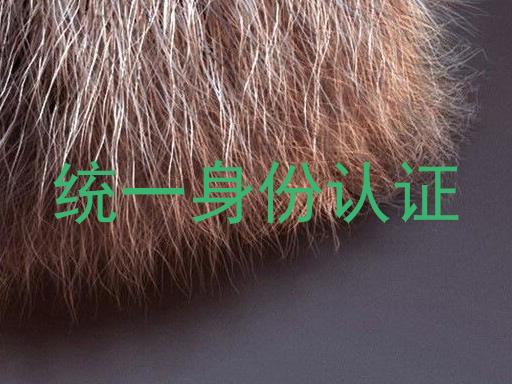 统一身份认证