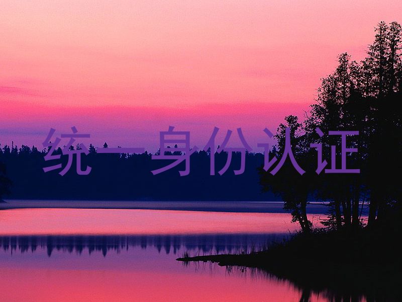 统一身份认证
