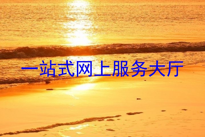 一站式网上服务大厅