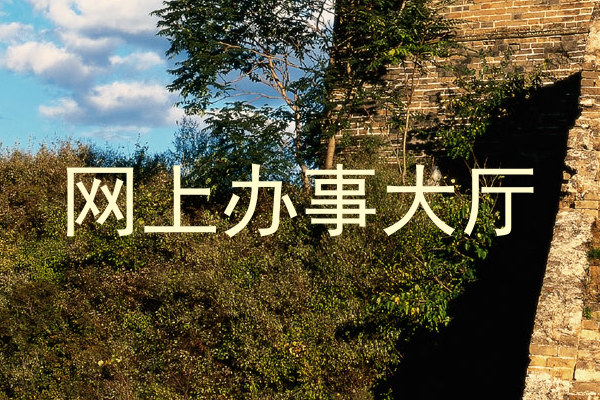 网上办事大厅