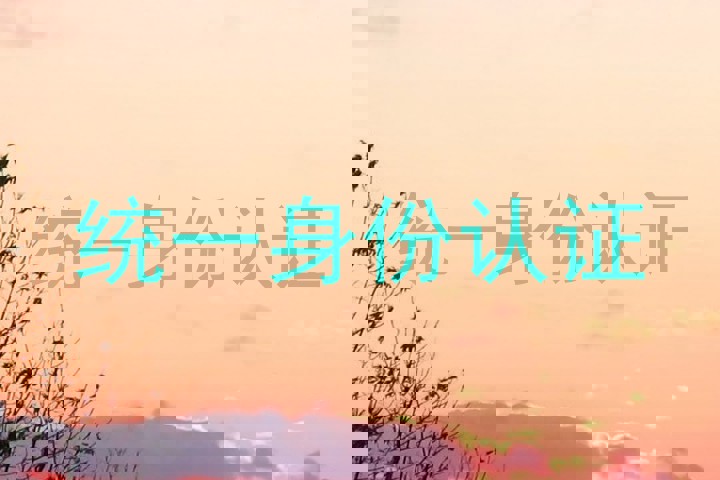 统一身份认证