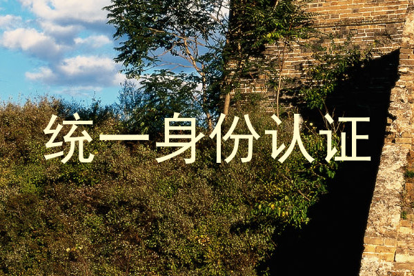 统一身份认证