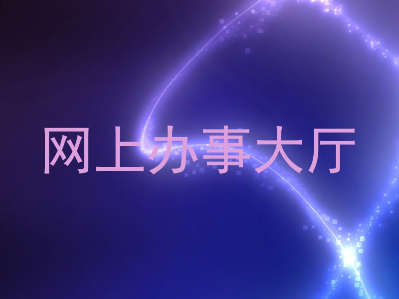 网上办事大厅
