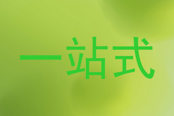 一站式