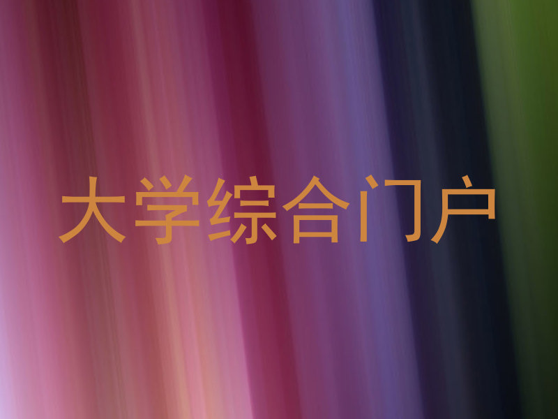 大学综合门户