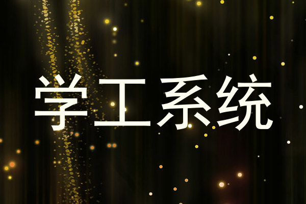 学工系统