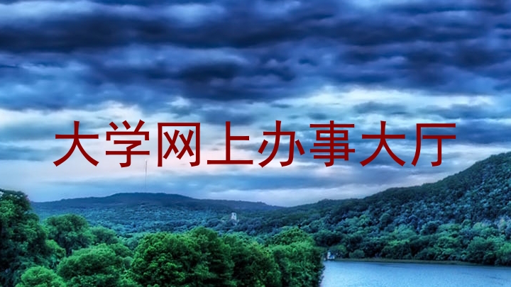 大学网上办事大厅