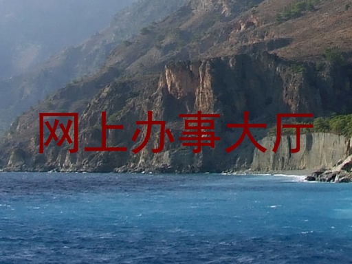 网上办事大厅