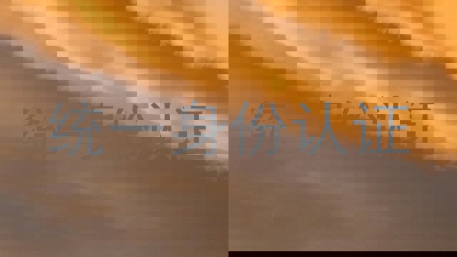 统一身份认证