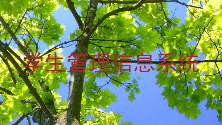 学生管理信息系统
