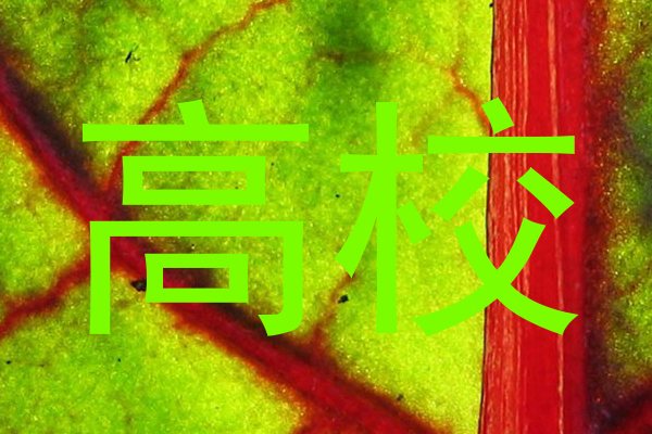 高校