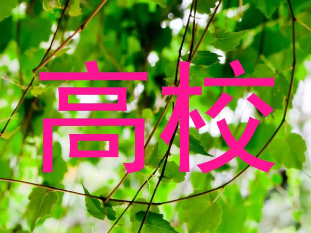 高校