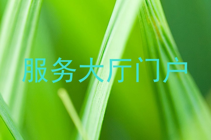 服务大厅门户