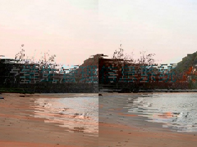 学生管理信息系统