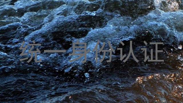 统一身份认证