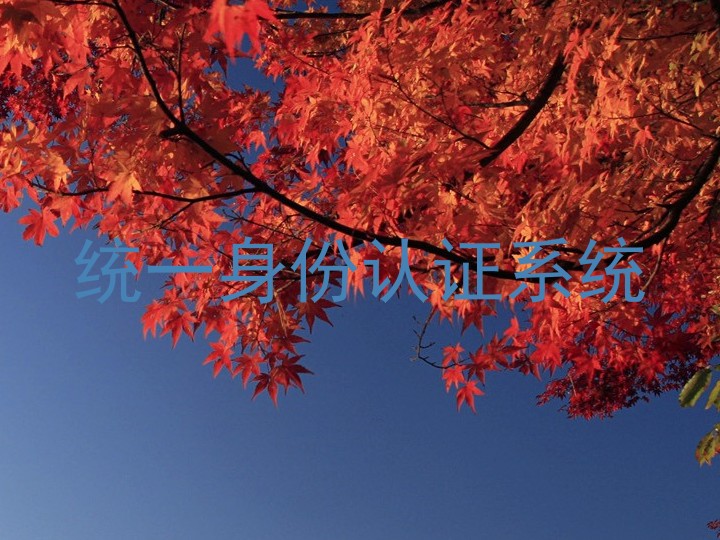 统一身份认证系统