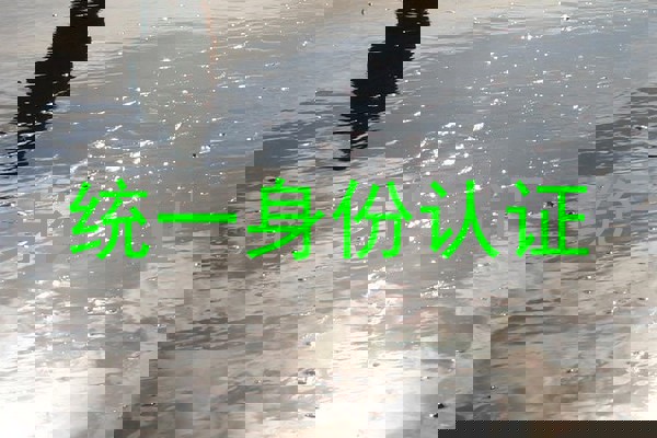 统一身份认证