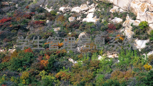 学生管理信息系统