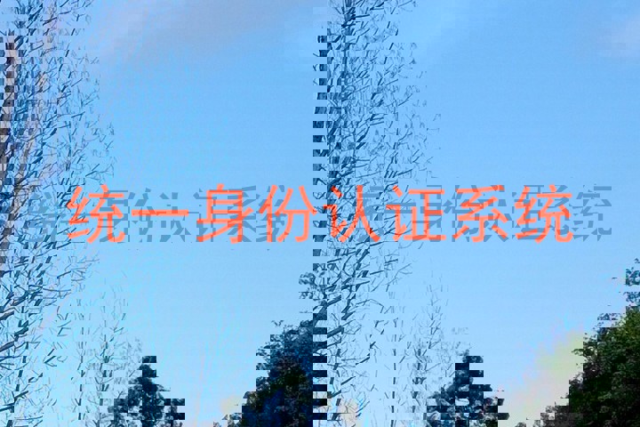 统一身份认证系统