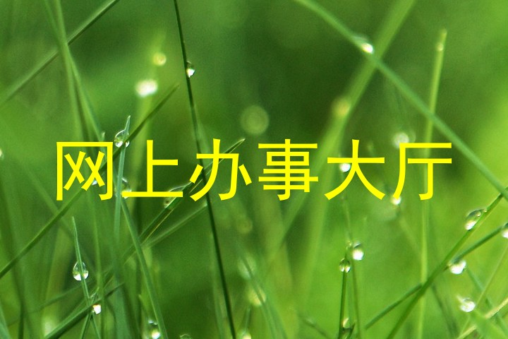 网上办事大厅