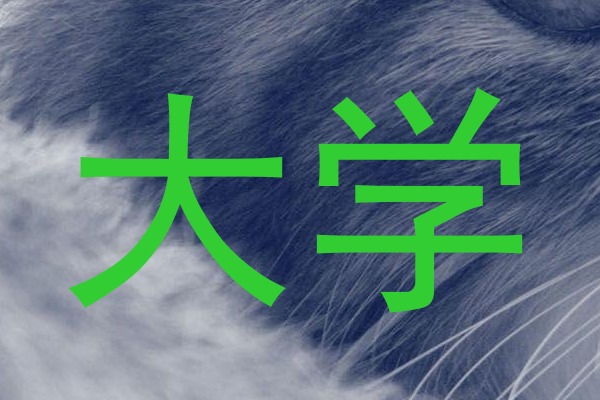 大学