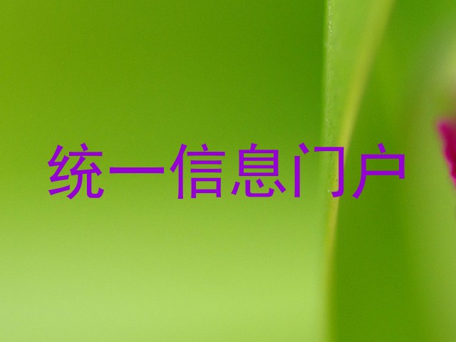 统一信息门户