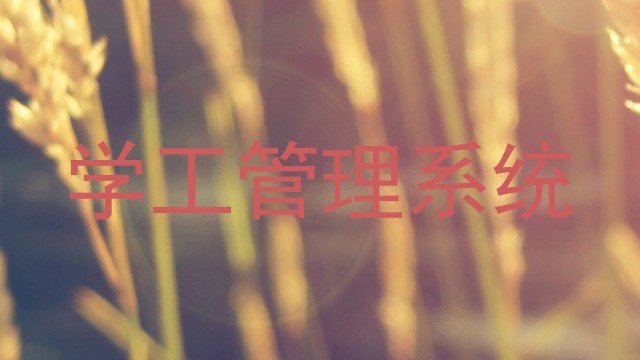 学工管理系统