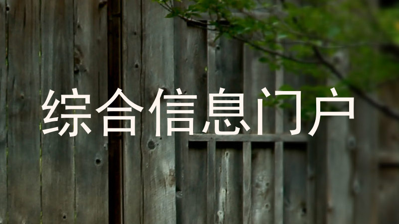 综合信息门户