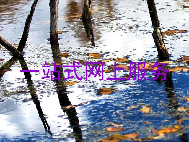 一站式网上服务