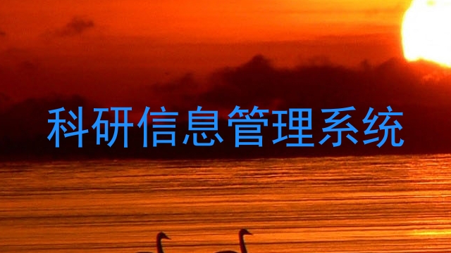 科研信息管理系统