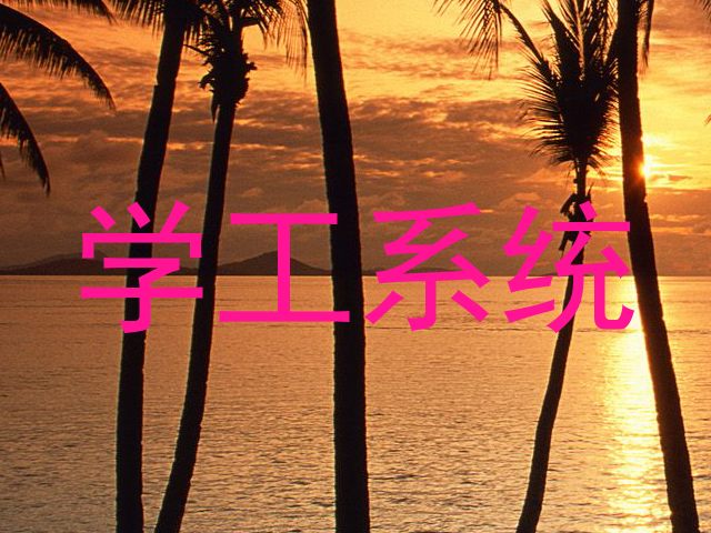 学工系统