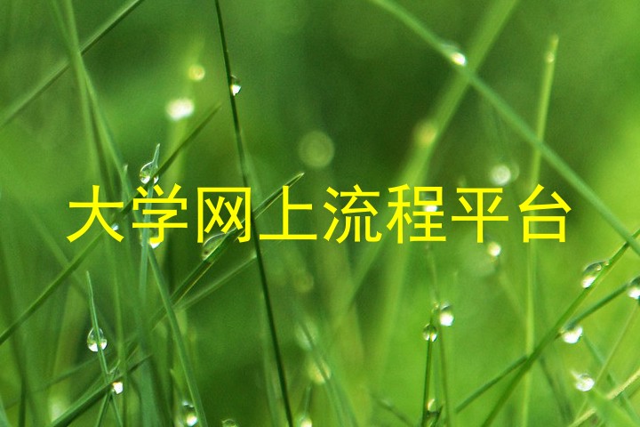 大学网上流程平台