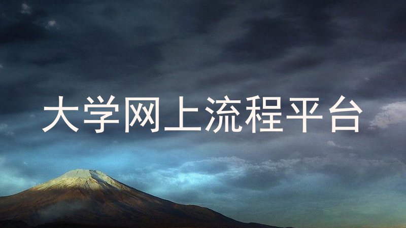 大学网上流程平台